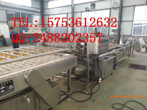 專注普通機(jī)械制造 解析胡蘿卜清洗機(jī)與食品清洗機(jī)的生產(chǎn)與價(jià)格