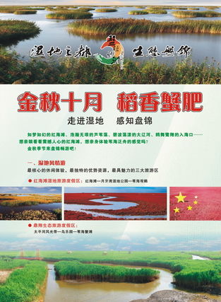 游客雜志廣告服務(wù) 連接全球旅行者，點(diǎn)亮品牌旅程